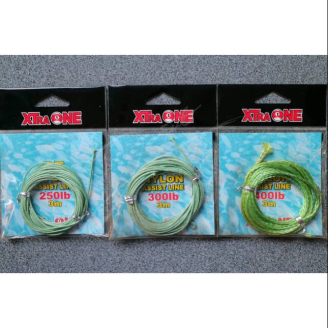 Pe assist line nylon xtra one