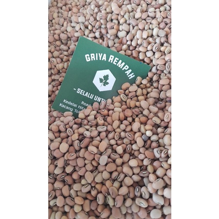 

Kacang Tolo Import Kacang Tunggak 1KG Kilogram Fresh / Kacang tolo terbaik