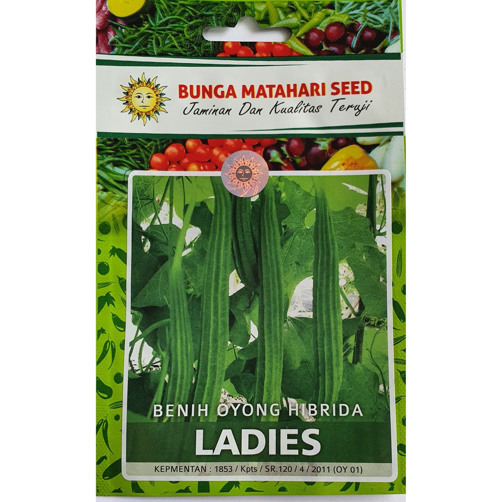 Benih Oyong hibrida Ladies F1 (Cap Bunga Matahari) 20 butir (kemasan pabrik)
