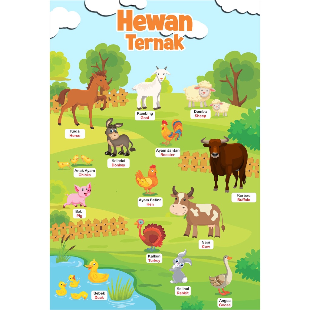 

poster edukasi anak lengkap paket