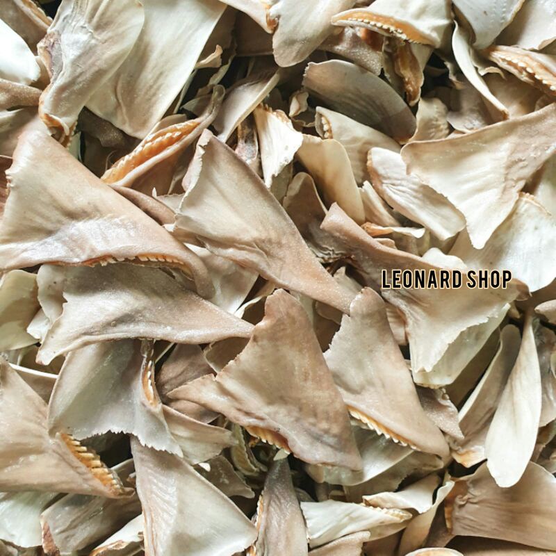 

Terlaris! HISIT UTUH KERING 100GM KECIL BAHAN SUP SIRIP IKAN HIU BERKUALITAS K UNTUK MASAKAN SUP