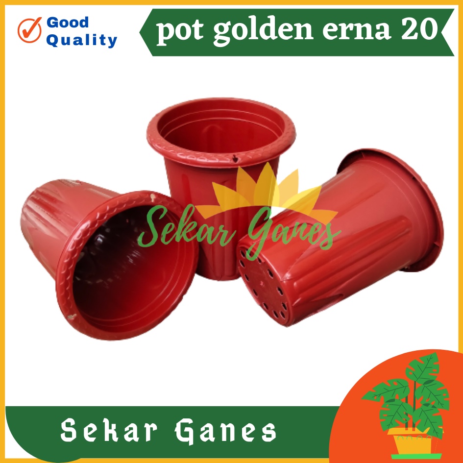 Pot Golden Erna 20 Merah Bata Coklat Terracota Terracotta Garden Of Love Mirip Pot Yogap 18 19 25 Murah  Putih Coklat Merah Bata Bening Transparan Pot Yogap 18 19 25 Pot Yogap Murah Pot Bunga Tinggi Pirus Tegak Bagus Tebal