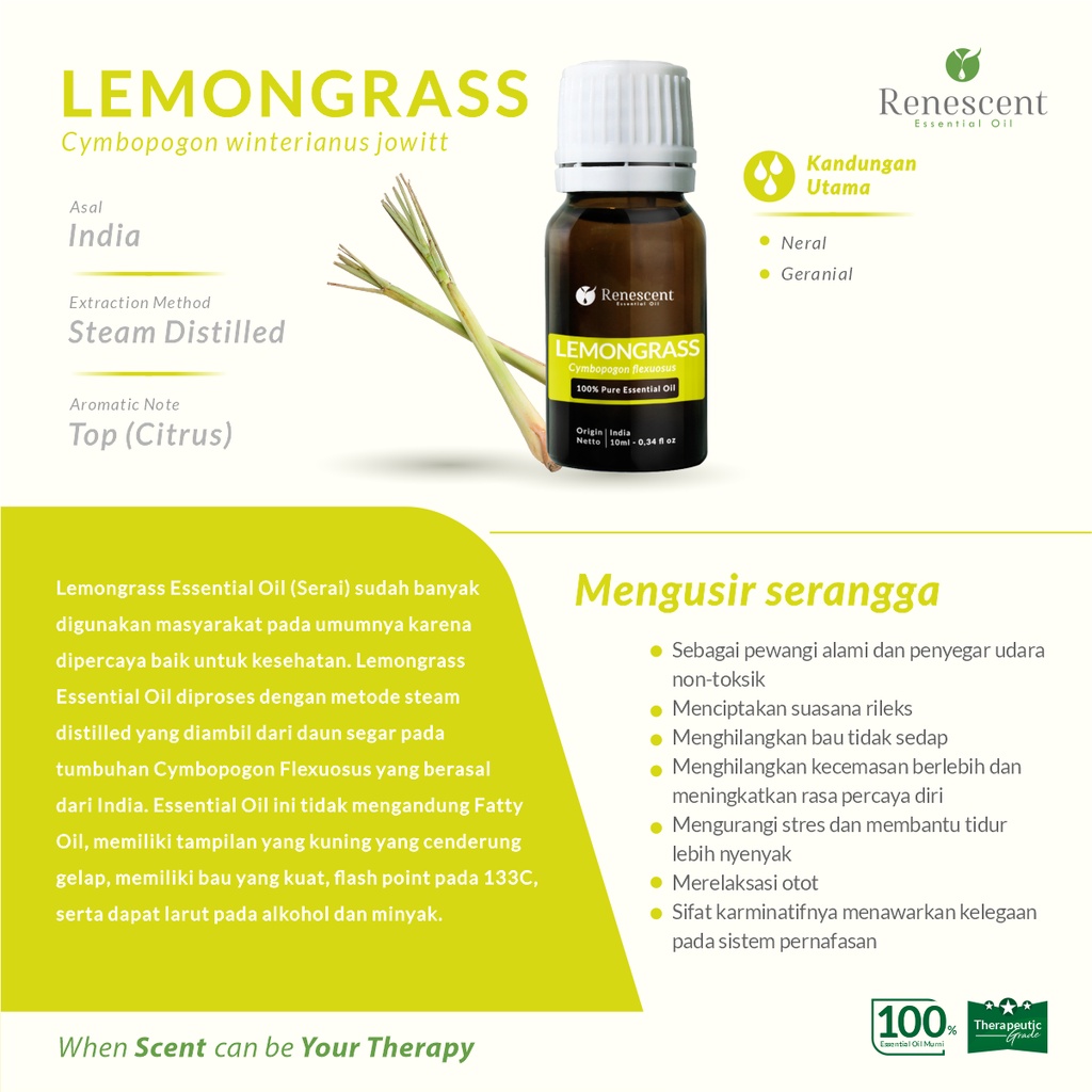 Renescent Lemongrass Pure Essential Oil 10ml Diffuser Aromatherapy Humidifier Air Purifier Lilin Aromaterapi