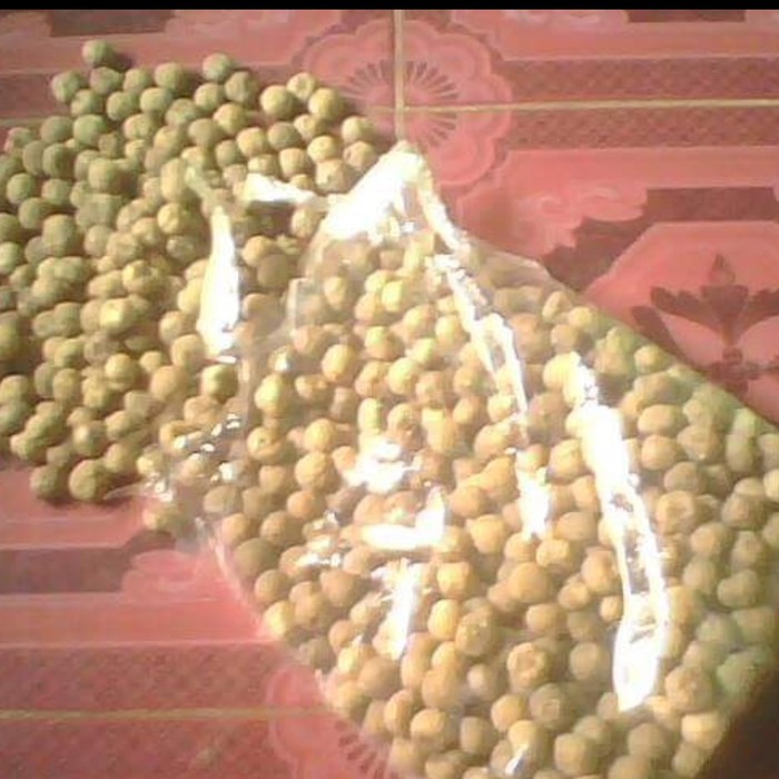 1 kg Biji Benih Pohon Jati Emas Hybrid Unggul