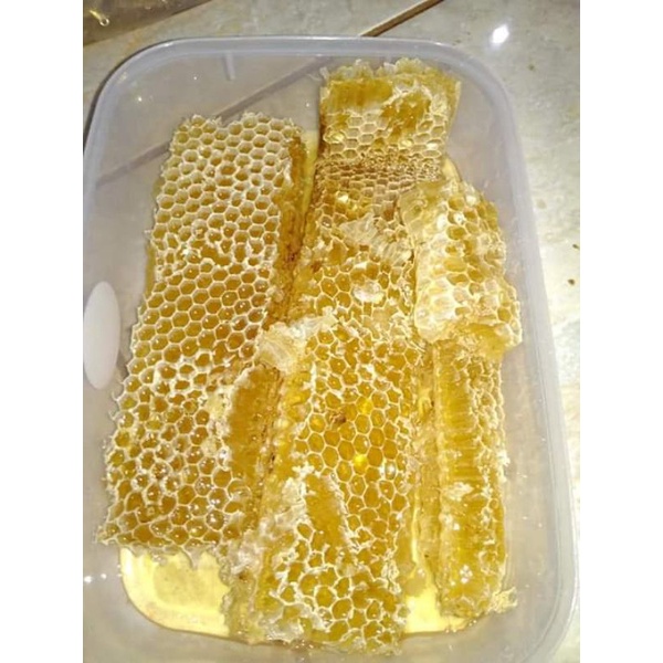 

sarang madu