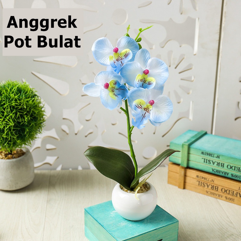 1kg Muat 6 Pcs Bunga Anggrek Bulan Bunga Orchid Bulat Biru