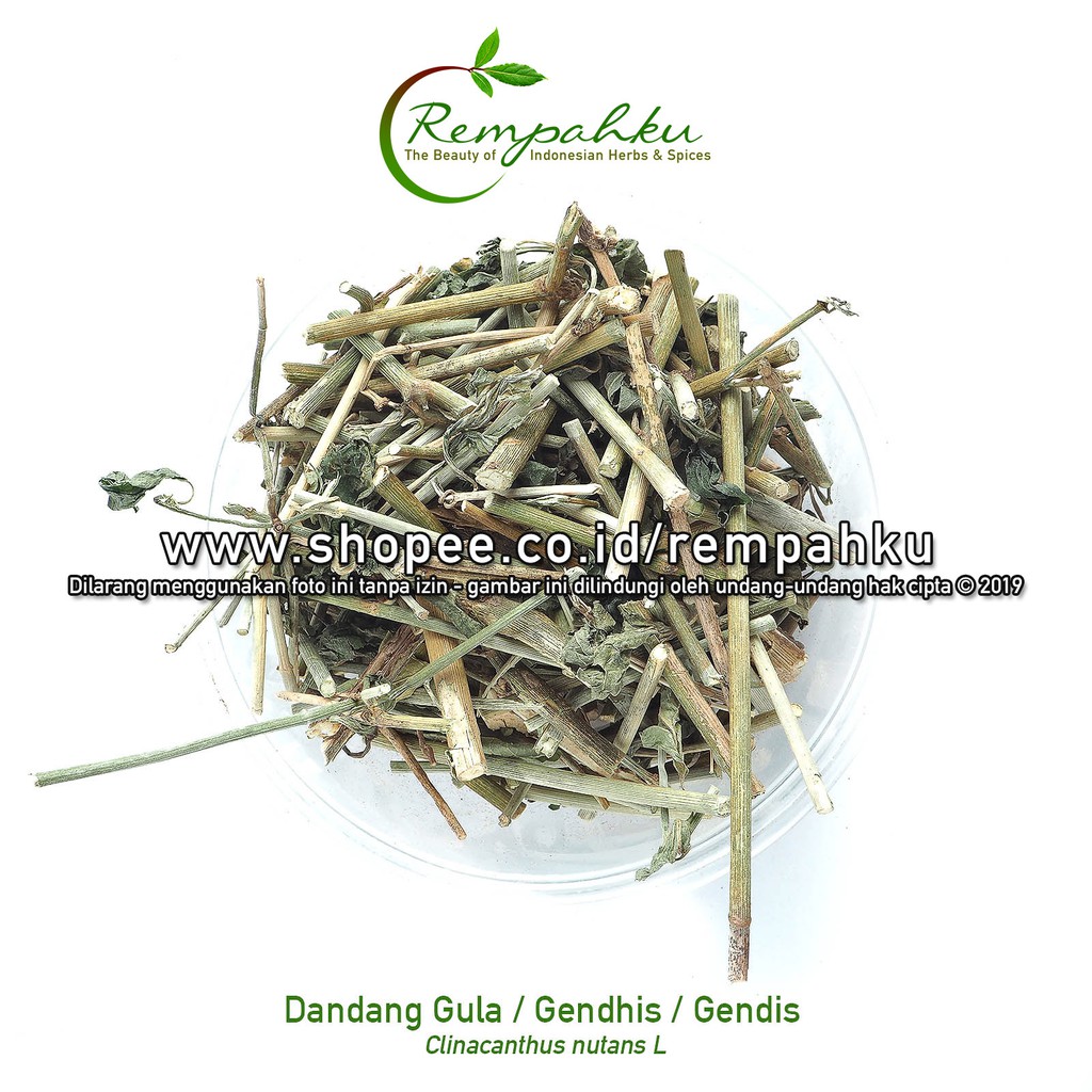 

Rempahku - Daun DANDANG GULA Gendhis 1kg Gendis Gulo Obat Diabetes