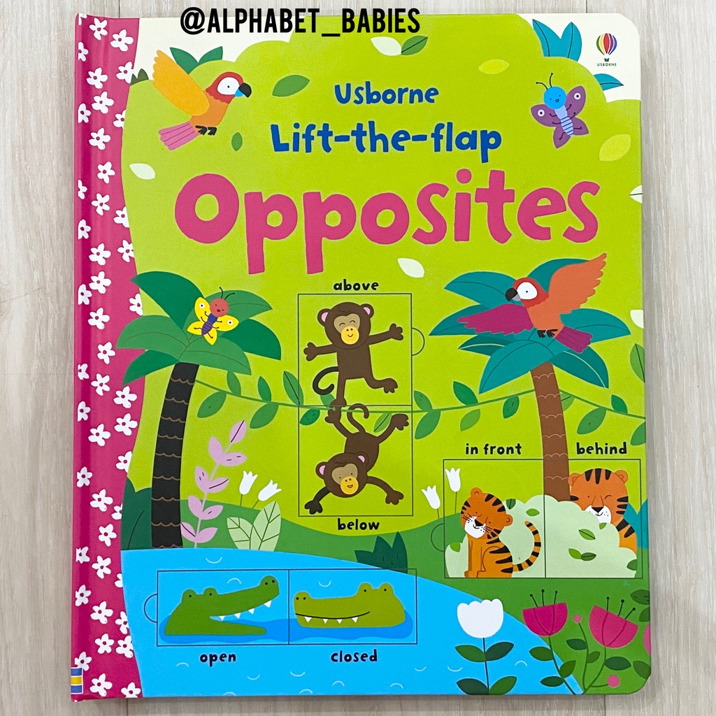 Usborne Lift The Flap Opposites