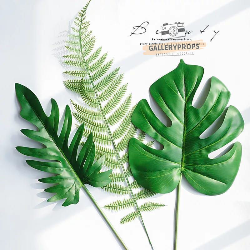 daun monstera palsu