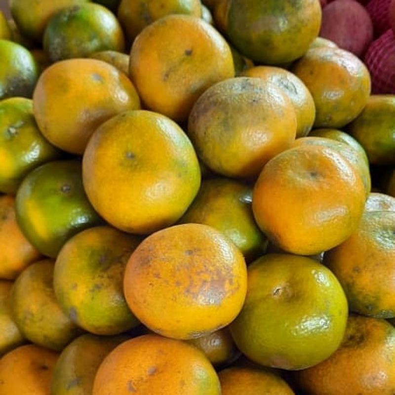 

jeruk medan papapangan - 500 gram