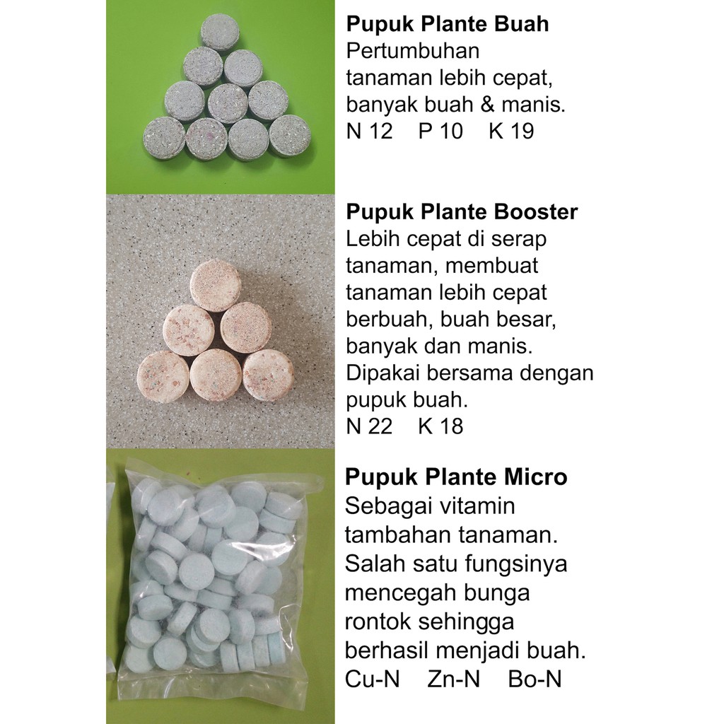 Pupuk Plante paket 1kg untuk tanaman buah lebat manis subur pupuk tablet npk tanaman buah
