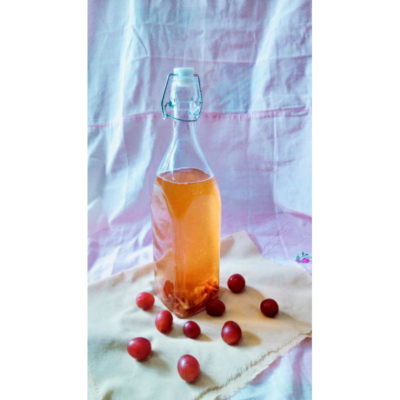 

Kombucha Minuman Sehat Probiotik