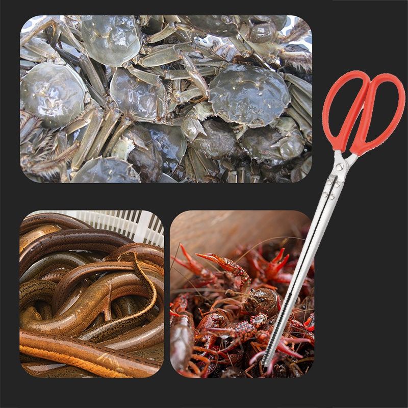 Gunting Capit Crab Tongs Pengambil Pencapit Belut Kepiting Udang Seafood