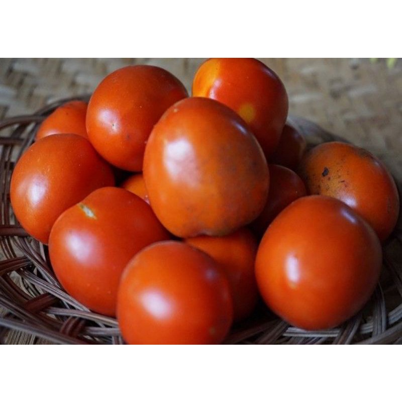 

tomat buah 500gr