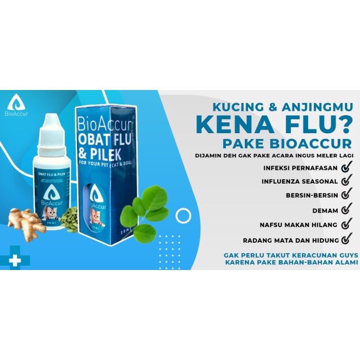 BioAccur Obat Flu &amp; Pilek Kucing/Anjing/Kelinci 30ml - Bio Accur