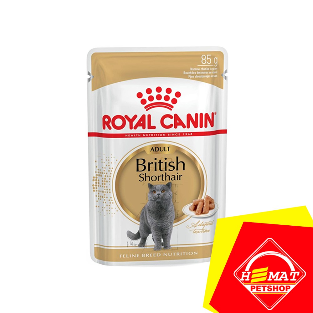 Royal Canin Adult British Shorthair 85 Gram / Makanan Kucing / Wet Food