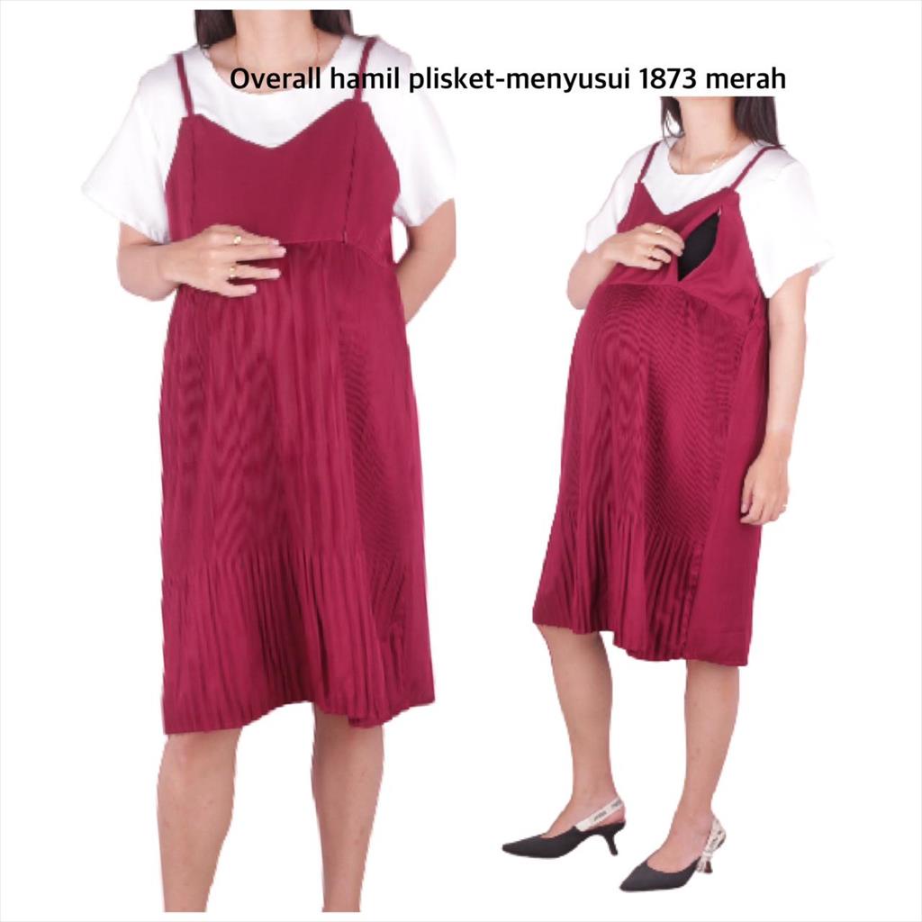 Overall Hamil Dan Menyusui 1873