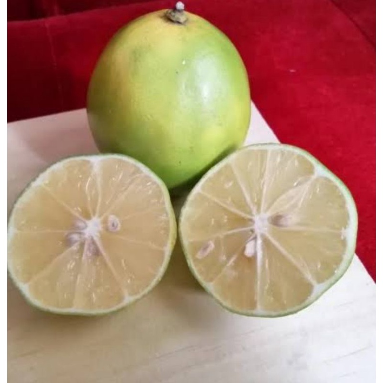 

LEMON CALIFORNIA fresh 1kg