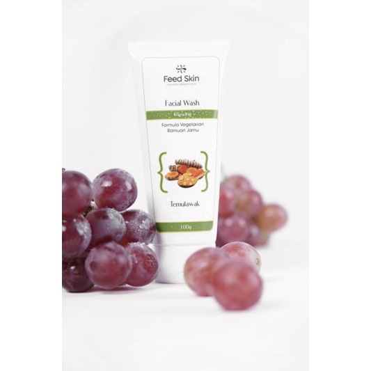 Pembersih Wajah FEED SKIN Skincare Facial wash TEMULAWAK