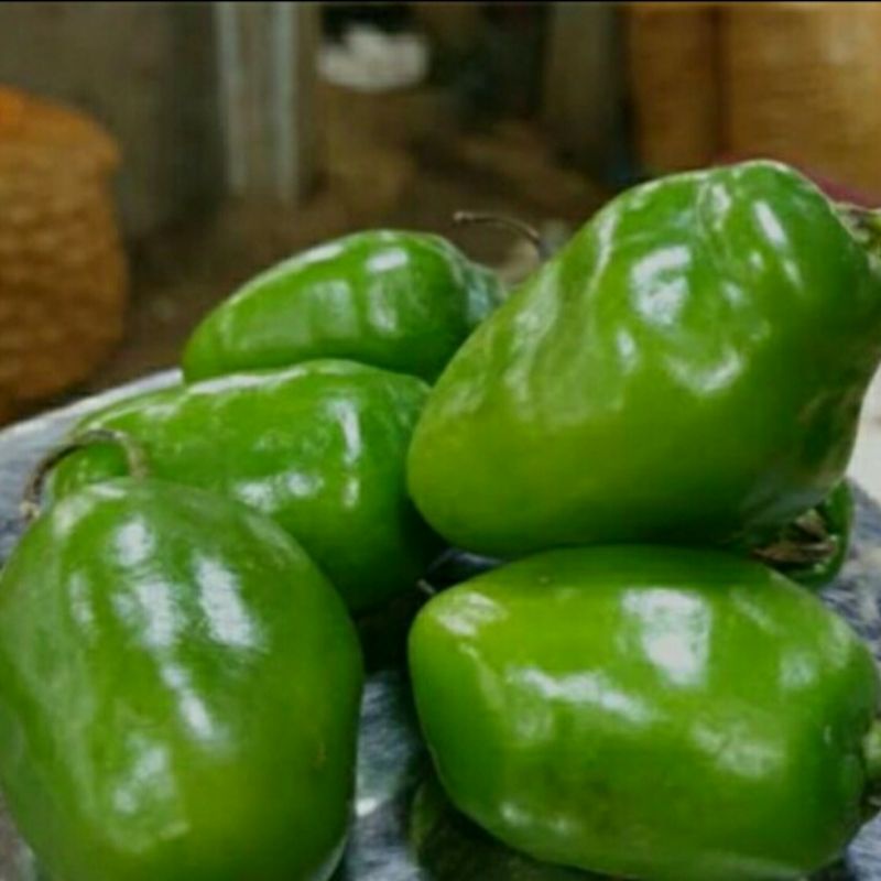 

CABE GENDOT 200 GRAM