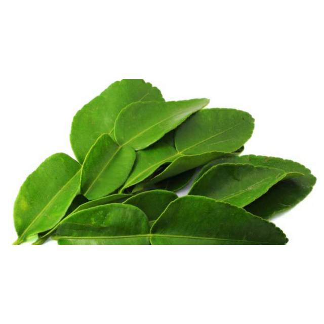 

DAUN JERUK 50 gram / Sayur Murah Bandung