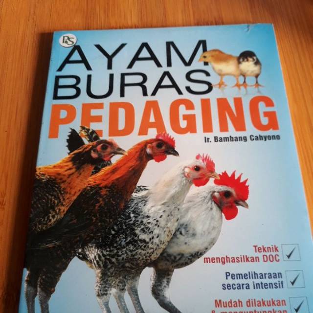 AYAM BURAS PEDAGING