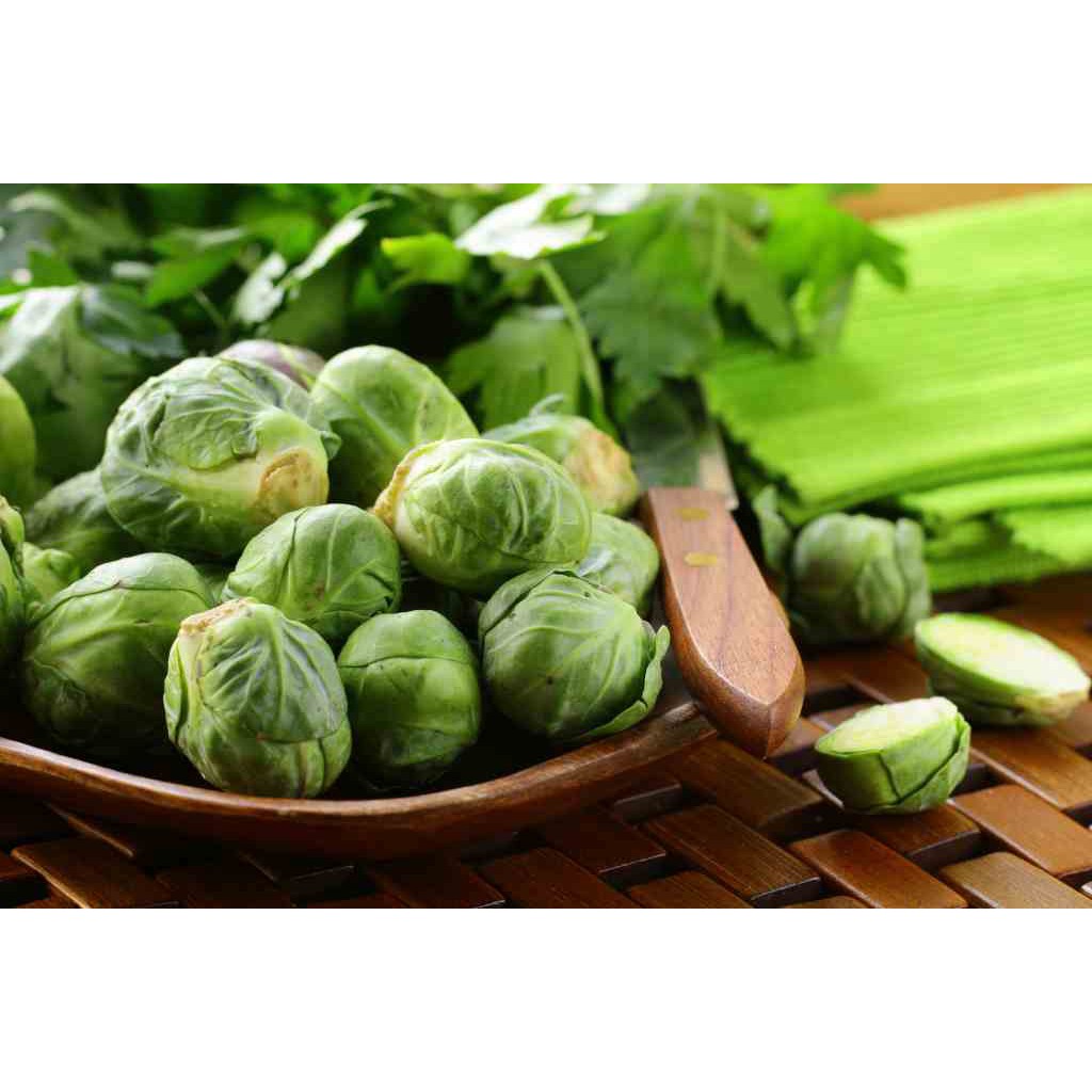 Biji Benih BIbit Brussels Sprout  Repack Haira Seed atau Horti Tops Belanda - Brussel Sprout  Brusel Sprout  Bibit Tanaman Sayuran Kol Mini  Kol Muda  Kubis Muda-2