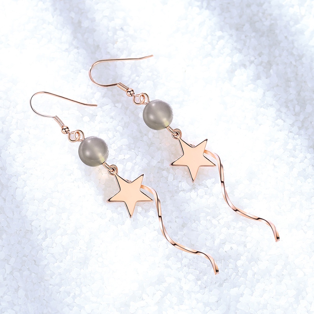 Anting Perak 925 Wanita Riak Perhiasan Fashion