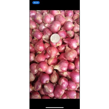 

bawang merah 1 kg
