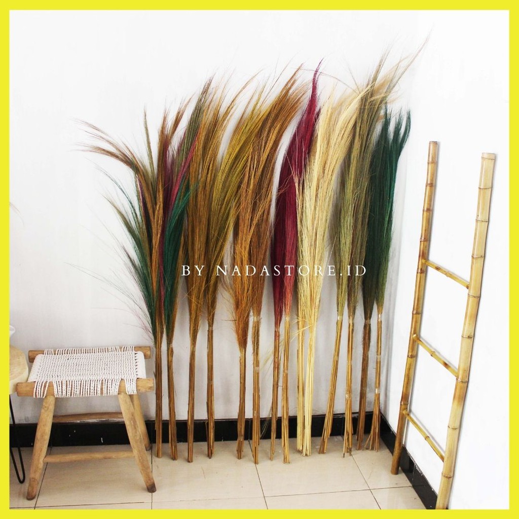 Dried flower Long grass 100 cm / Bunga kering / pampas merak / Rayung 1 ikat isi 10 sd 12 tangkai