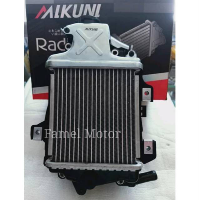 RADIATOR VARIO 125 FI