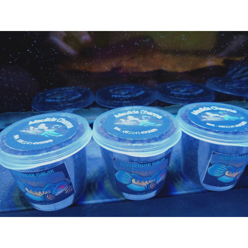 Pelet Auranti, pelet mangap mangap auranti