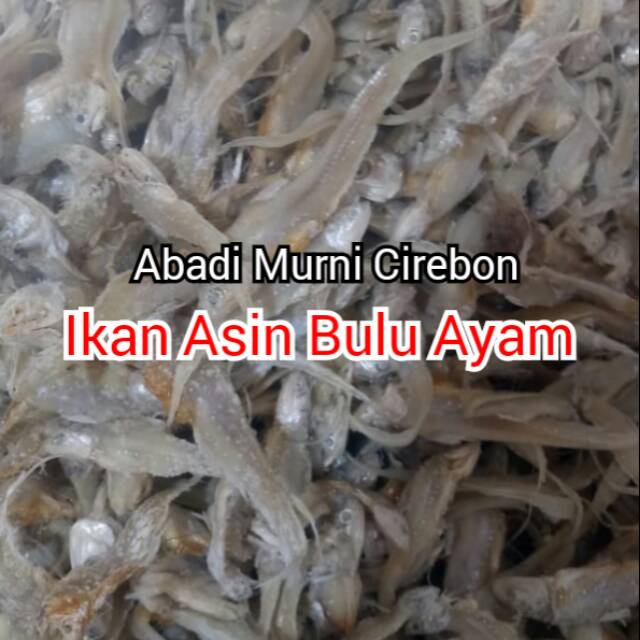 

Ikan Asin Bulu Ayam