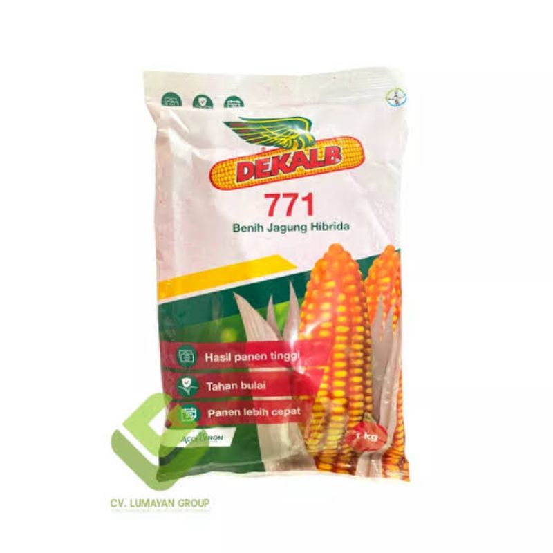 benih jagung hibrida dk 771