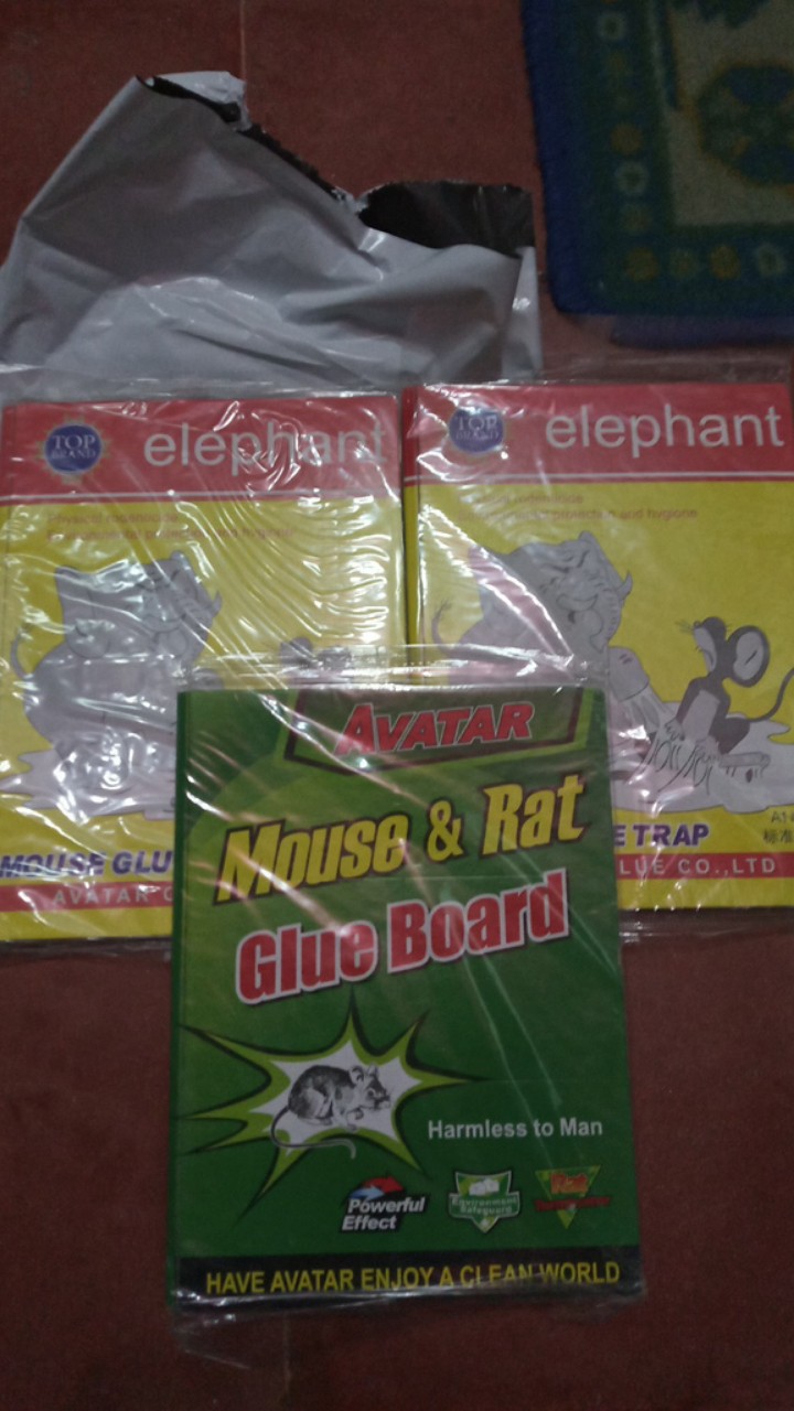 Lem Tikus Jebakan Trap Papan Buku Impor Perangkap Cap Gajah Glue Board Mouse Rat Jumbo Besar Import