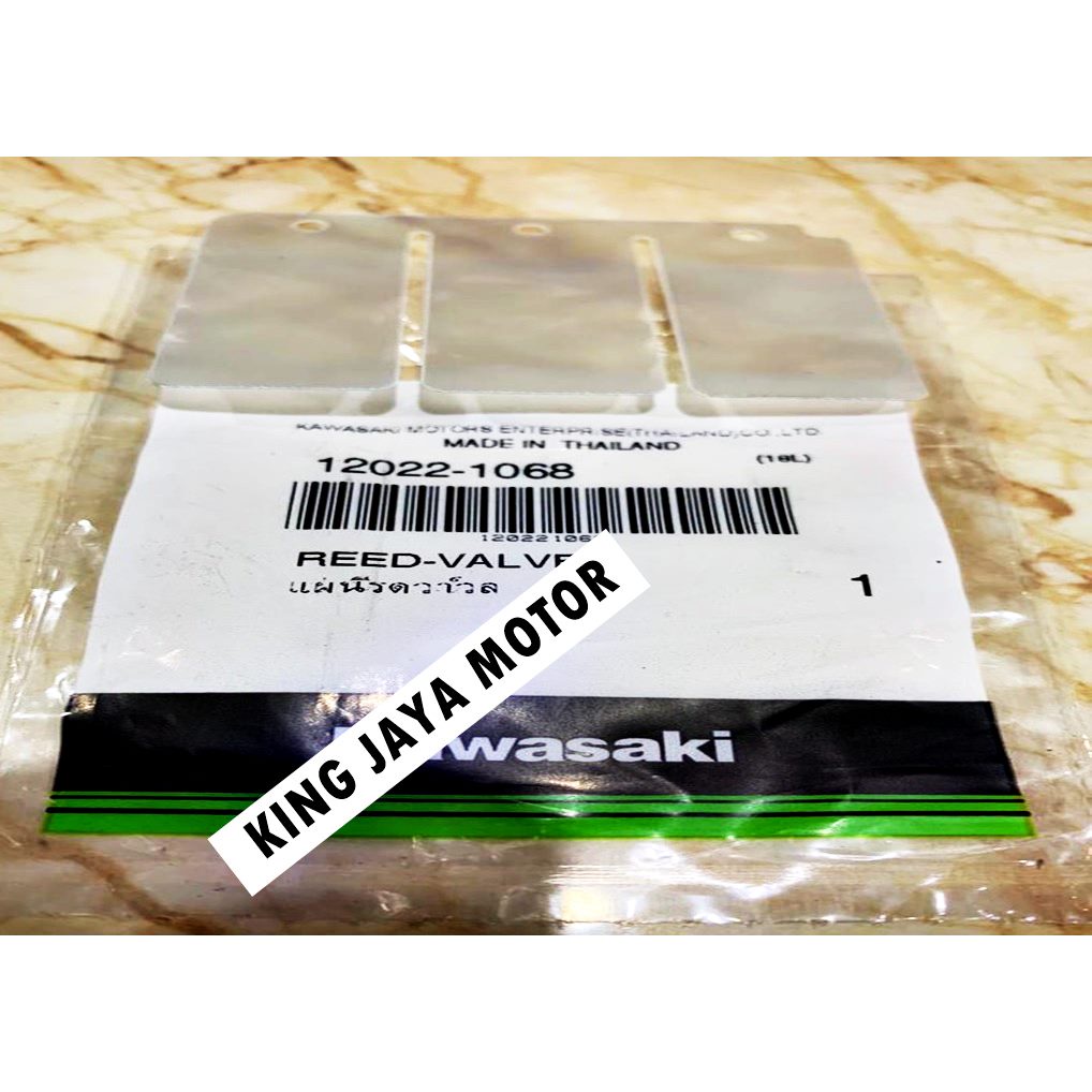 LIDAH MEMBRAN NINJA R RR 12022-1068 ASLI ORI KAWASAKI