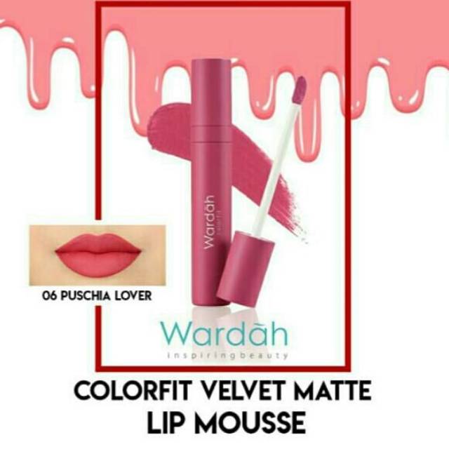 ORI Wardah Colorfit Velvet Matte lip mouse 06