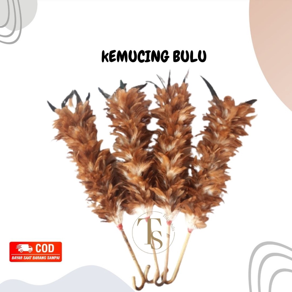 Kemucing Bulu Ayam Kualitas Super Anti Rontok Sulak Wulu