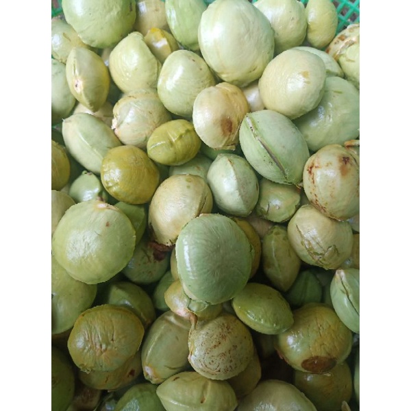 

jengkol kupas murah