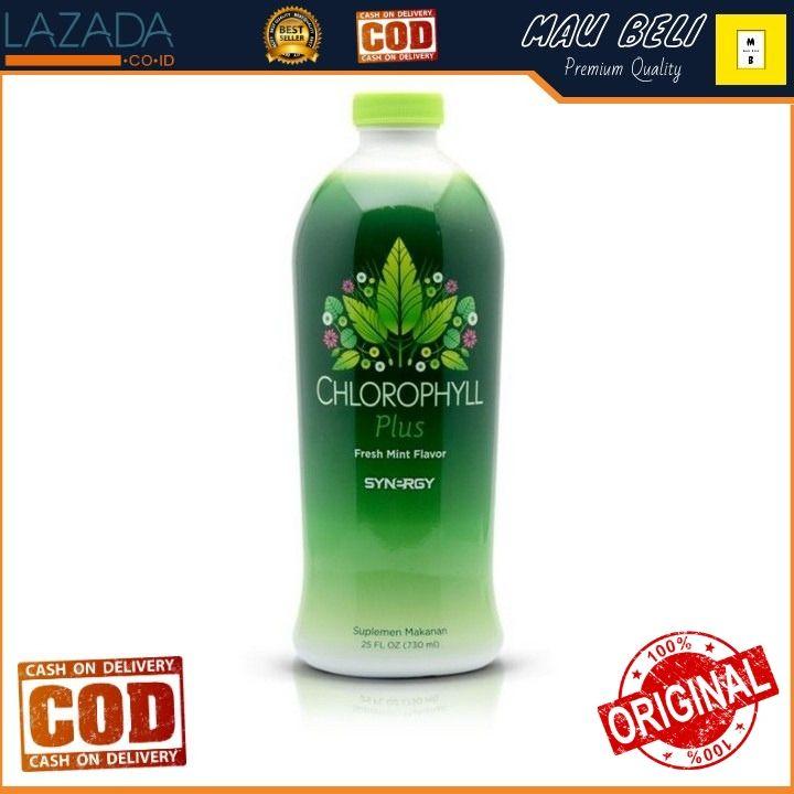 Chlorophyll Plus Klorofil Liquid Klorofil Daun Hijau Mint 730 ml
