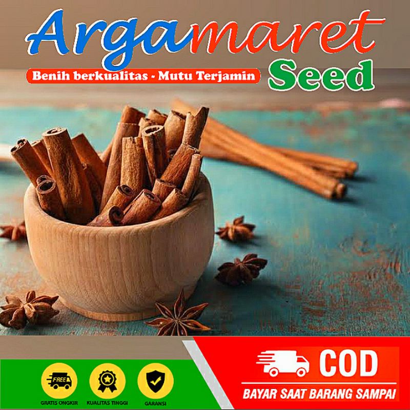 

Kayu Manis Batang / Cinnamon Stick Super Premium