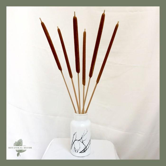 Dried Cattail Rumput Ekor Kucing Bulrush Typha Kering Natural