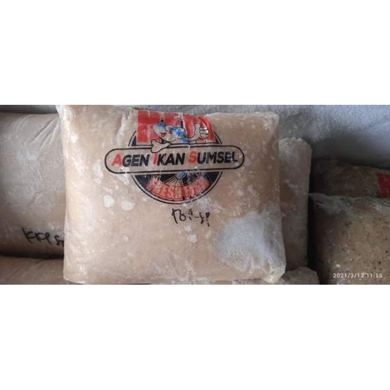 

ikan giling tenggiri super