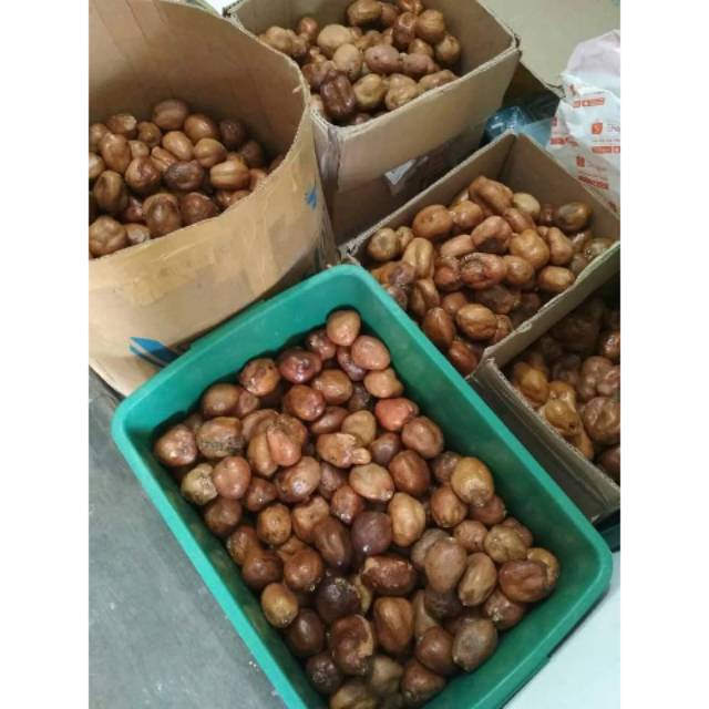 

Buah zuriat ( kualitas terbaik )
