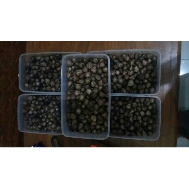 Black Garlic / Bawang Hitam Tunggal 1kg