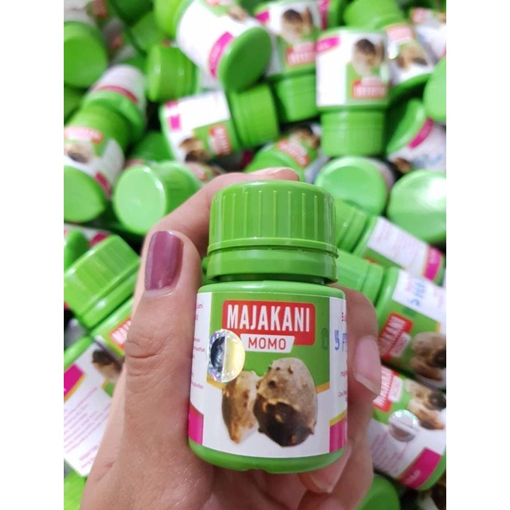 Majakani Momo / Manjakani Momoidea / Majakani Aceh