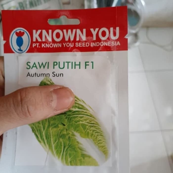 PROMO Benih Sayuran Sawi Putih/Biji Sayuran Sawi Putih murah