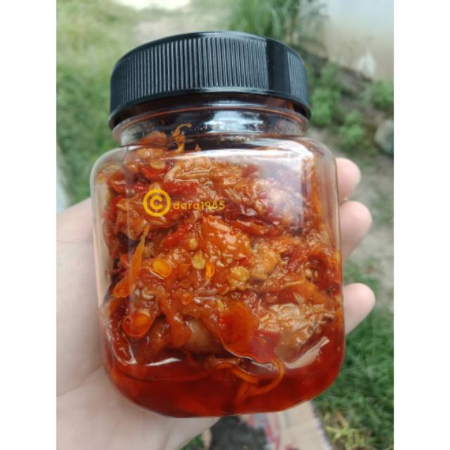 

Cumi halilintar