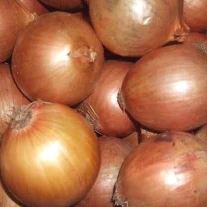 

uuttudd Bawang Bombay Bagus 1Kg Fsfs201
