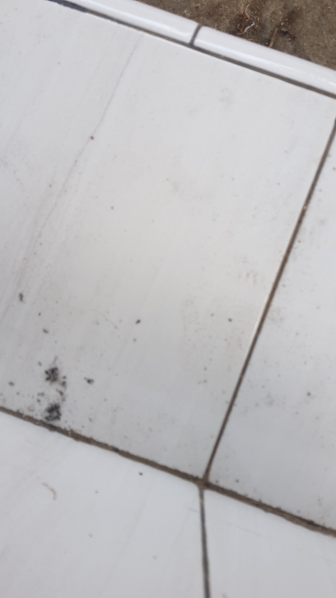 New Arrival Distro Batik Pria Sogan Hrb026 Batikaf Notoarto Batik Ipnu-ippnu Hem Pria